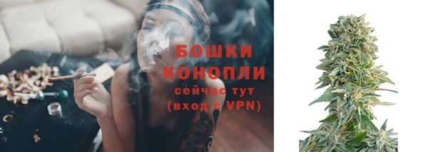 spice Вязьма