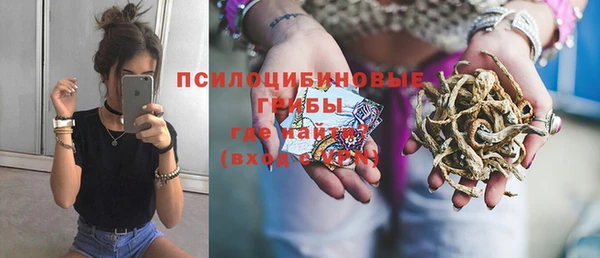 Альфа ПВП Вяземский