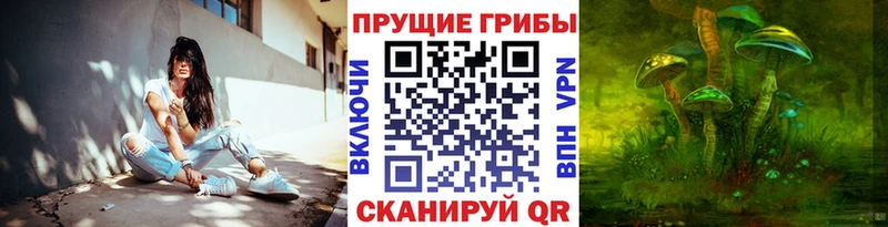 наркота  Мурманск  Псилоцибиновые грибы мицелий 